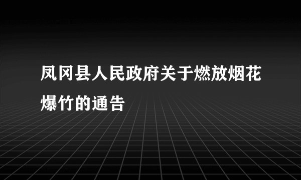 凤冈县人民政府关于燃放烟花爆竹的通告