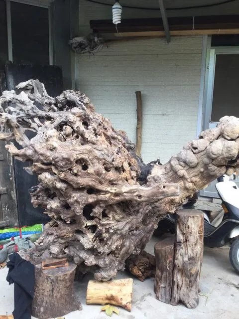 根雕的艺术价值在哪里?大型的根雕作品有哪些?