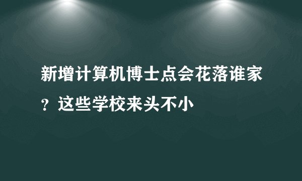 新增计算机博士点会花落谁家?这些学校来头不小