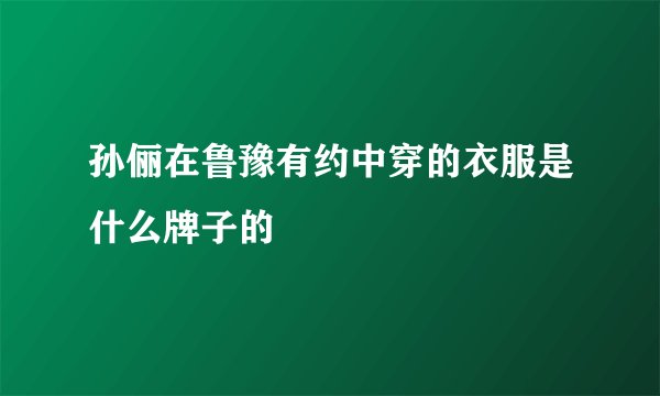 孙俪在鲁豫有约中穿的衣服是什么牌子的