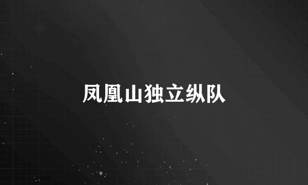凤凰山独立纵队