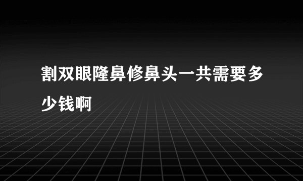 割双眼隆鼻修鼻头一共需要多少钱啊