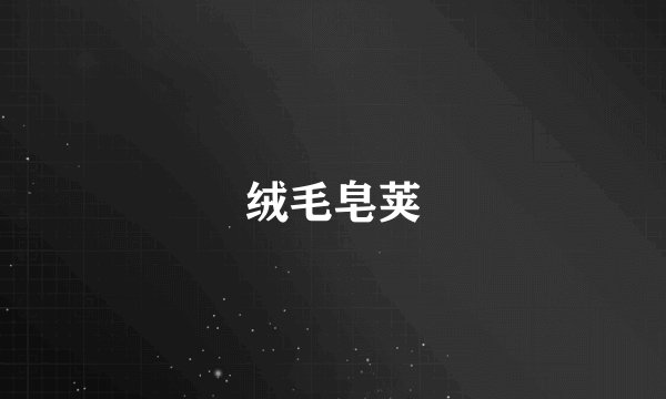 绒毛皂荚