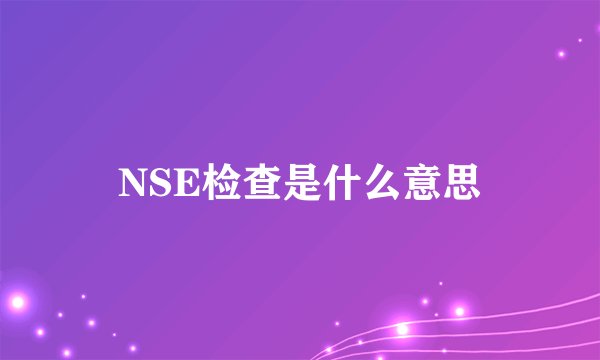 NSE检查是什么意思