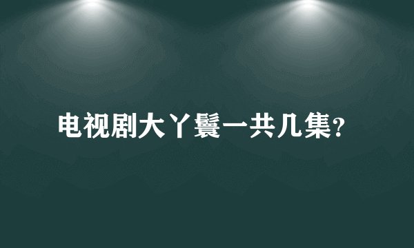 电视剧大丫鬟一共几集？