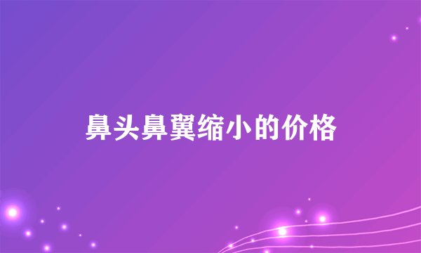 鼻头鼻翼缩小的价格