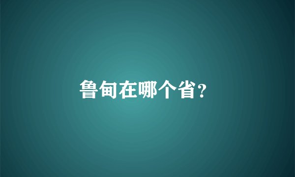 鲁甸在哪个省？
