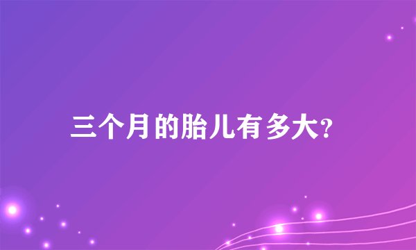 三个月的胎儿有多大？