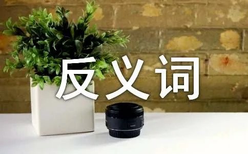 迷惘的反义词