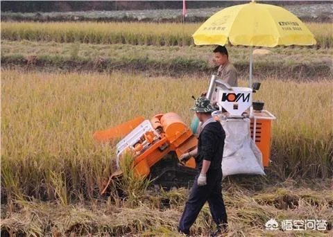 小型农机具补贴