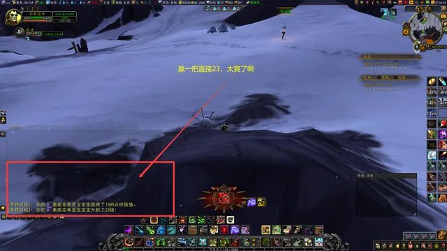 魔兽世界10.0宠物对战升级攻略