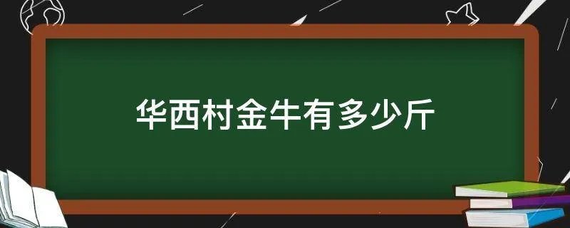 华西村金牛有多少斤