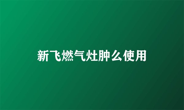 新飞燃气灶肿么使用