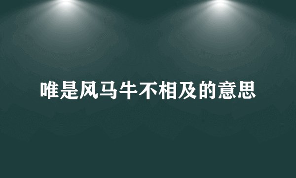 唯是风马牛不相及的意思