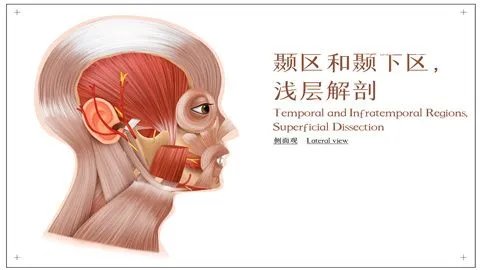 挂钩疼怎么自愈