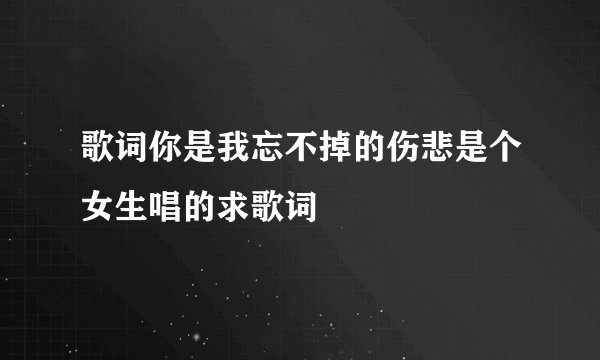 歌词你是我忘不掉的伤悲是个女生唱的求歌词