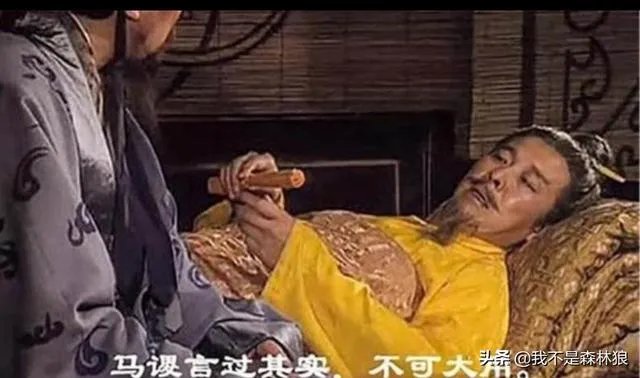 刘备到底是不是王昭君后代?他的一生是怎样的呢?