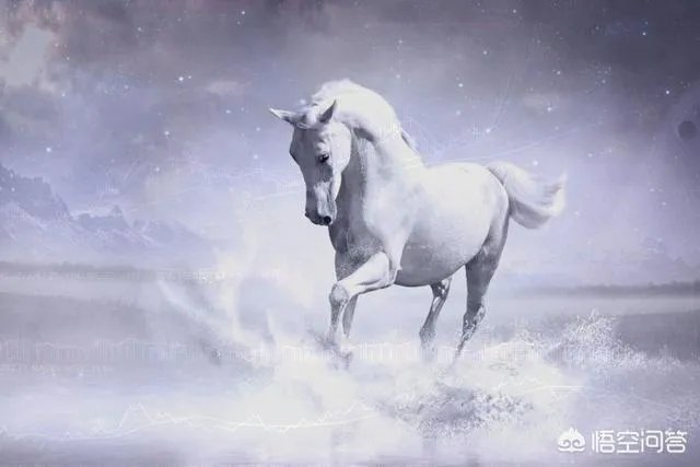 从格力电器到伊利股份,白马股轮番急跌是什么原因?