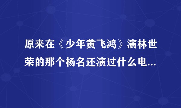 原来在《少年黄飞鸿》演林世荣的那个杨名还演过什么电视剧吗？
