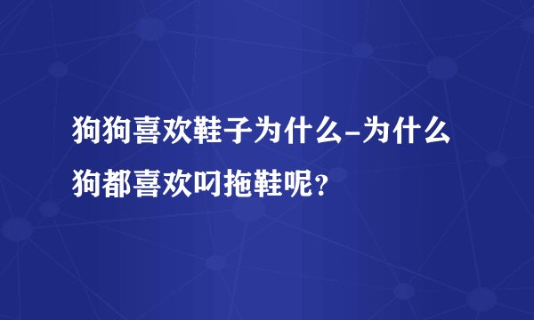 狗狗喜欢鞋子为什么-为什么狗都喜欢叼拖鞋呢?