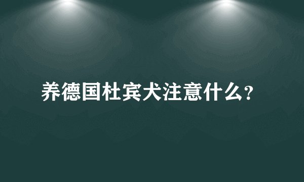 养德国杜宾犬注意什么？