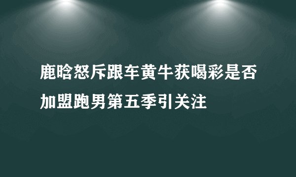 鹿晗怒斥跟车黄牛获喝彩是否加盟跑男第五季引关注
