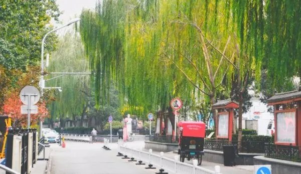 到北京旅游,你住过北京的胡同民宿吗?