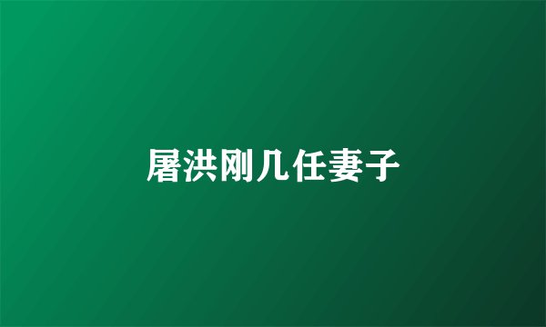 屠洪刚几任妻子