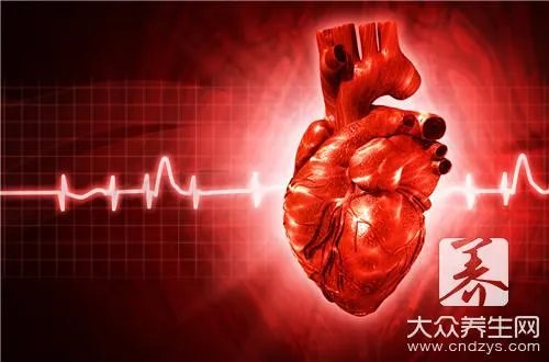 冠心病食疗药膳有哪些？