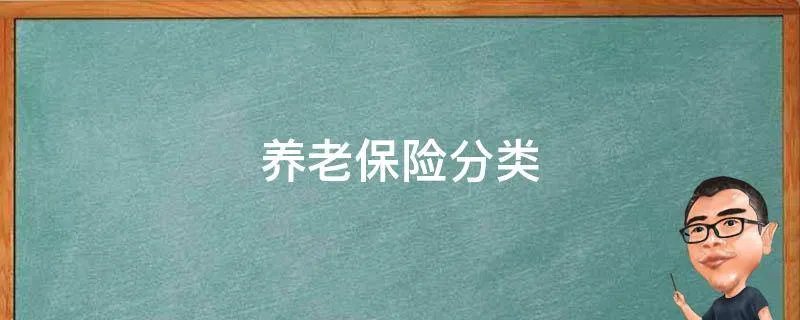 养老保险分类