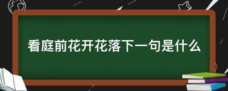 看庭前花开花落下一句是什么