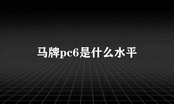马牌pc6是什么水平