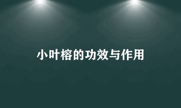 小叶榕的功效与作用
