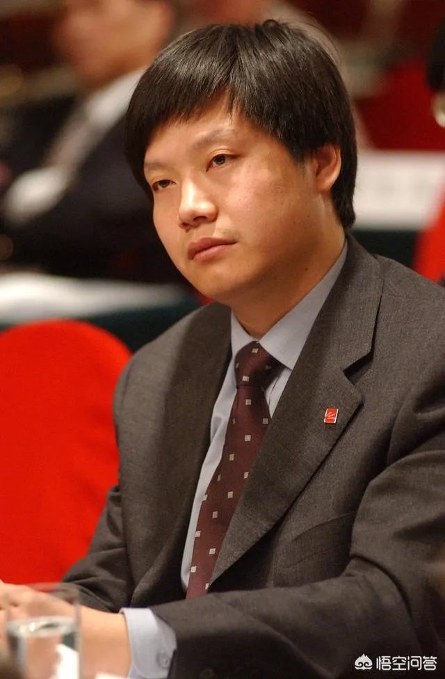 如何评价雷军？