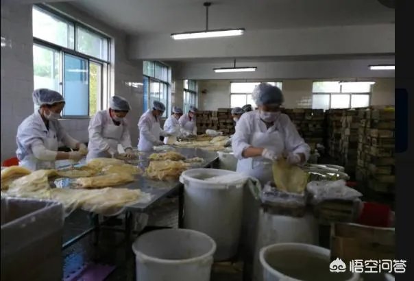 你觉得营口海蜇好吃吗?为什么呢?