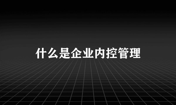什么是企业内控管理