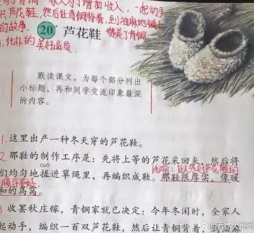 中小学语文教科书总主编回应质疑,具体是如何回应的?
