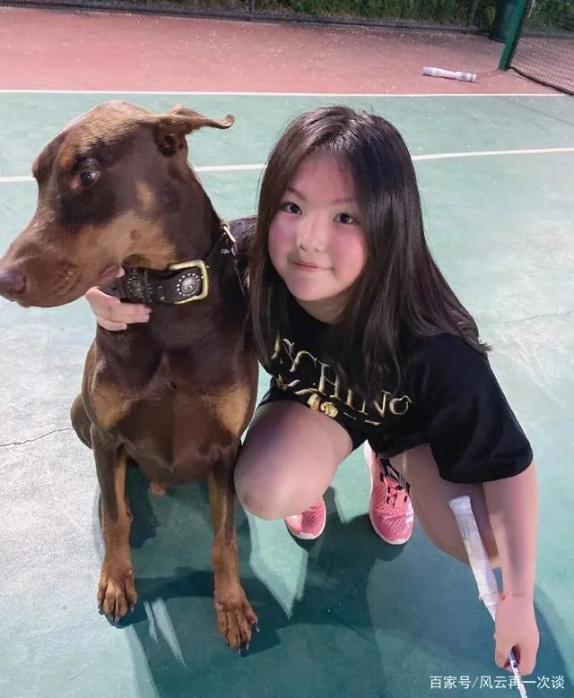 王岳伦道歉后表白被原谅?同样是女强人的李湘和顾佳差在哪?