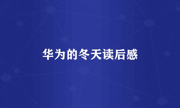 华为的冬天读后感