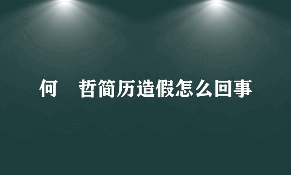 何旻哲简历造假怎么回事
