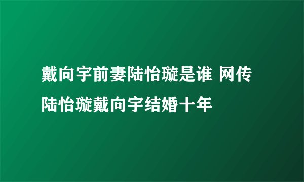 戴向宇前妻陆怡璇是谁 网传陆怡璇戴向宇结婚十年