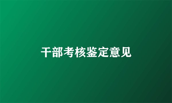 干部考核鉴定意见
