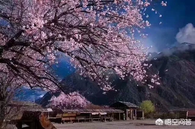 去林芝旅游,有哪些攻略呢?