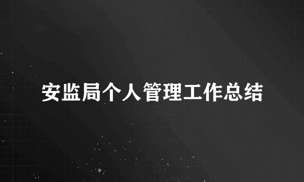 安监局个人管理工作总结