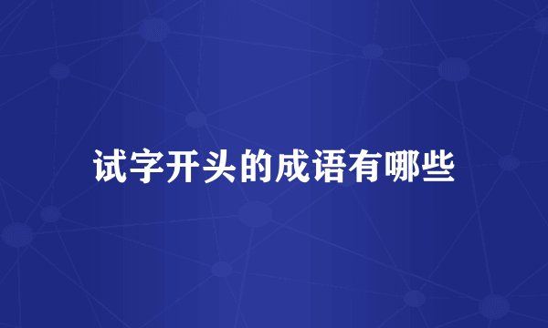 试字开头的成语有哪些