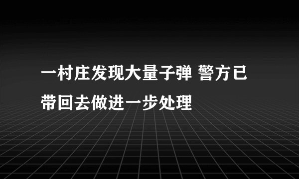 一村庄发现大量子弹 警方已带回去做进一步处理