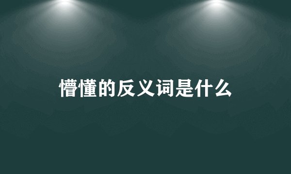 懵懂的反义词是什么