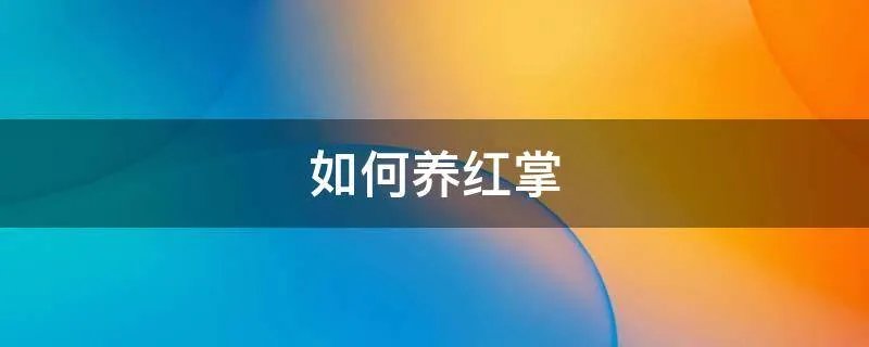 如何养红掌