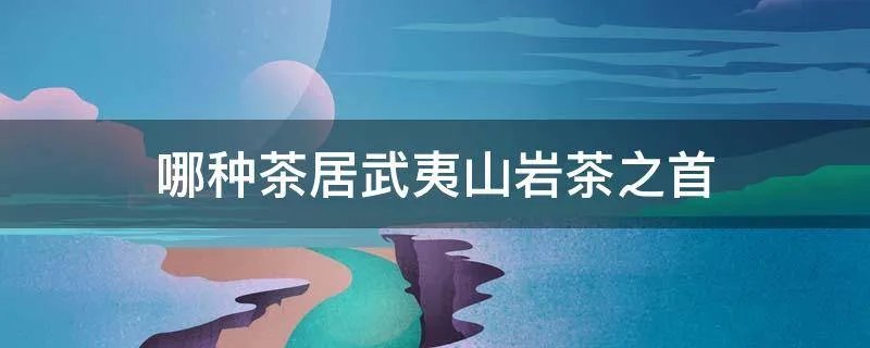 哪种茶居武夷山岩茶之首