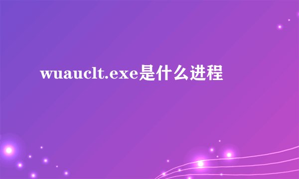 wuauclt.exe是什么进程